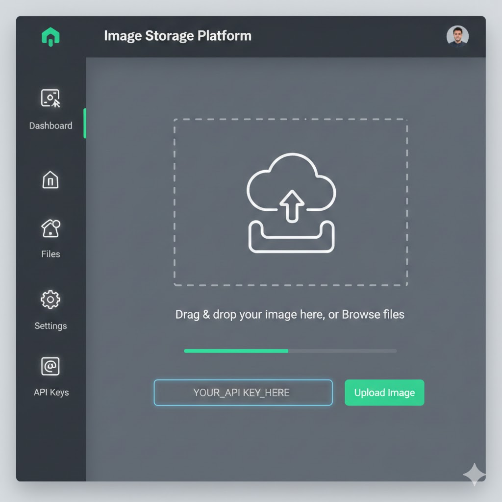ImgBB API Dashboard showing simple API key management and usage statistics